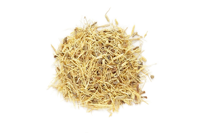 Lékořice lysá - Glycyrrhiza glabra